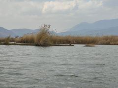 -大理洱源西湖景区
