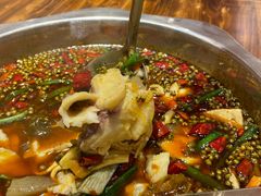 -乡土特色.冷锅鱼.牦牛肉汤锅