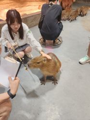 -Zoolung Zoolung动物主题公园(海信广场店)