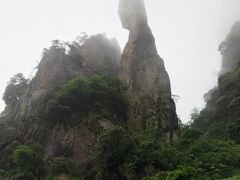-菜当家