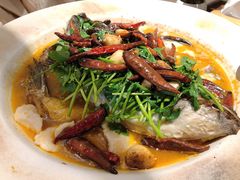 -丹江渔村(望京店)