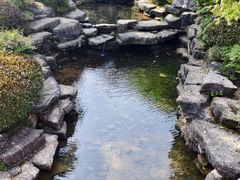-桃花岭景区