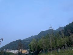 -都江堰石锅鱼