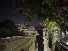 -东兴口岸-中越友谊大桥