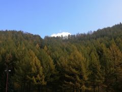 -塞罕坝国家级自然保护区