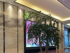 -眉州东坡(北苑华贸店)