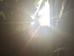 -苏州文旅花间堂·探花府酒店
