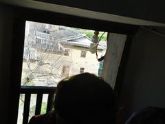 -福建土楼（华安）旅游区•大地土楼群