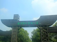 -溱湖国家湿地公园