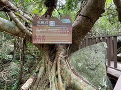 -七仙岭温泉国家森林公园