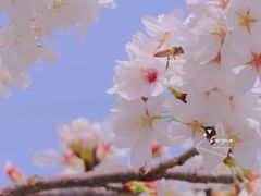 -西北湖绿化广场