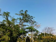 -白沙门生态公园