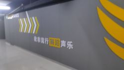 -欲非舞蹈