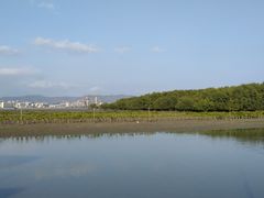 -盐洲岛