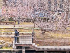 -安定门(地铁站)