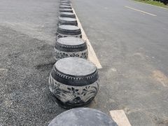 -合肥滨湖国家森林公园