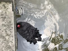 -张坝桂圆林公园