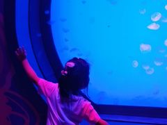 -沈阳海洋探索中心