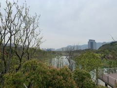 -苏州清山会议中心
