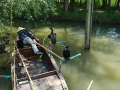 -溱湖国家湿地公园