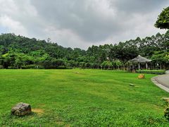 -火炉山森林公园