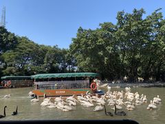 -广州长隆飞鸟乐园