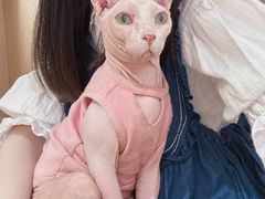 -MOCHA明星猫咖(田子坊店)