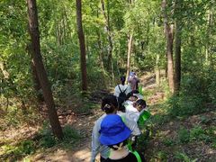 -青龙山国家森林公园