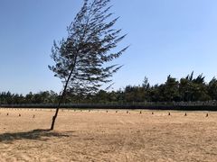 -白沙门生态公园