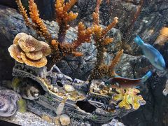 -成都浩海立方海洋公园