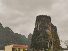 -明仕田园