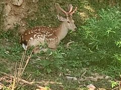 -泉州海丝野生动物世界
