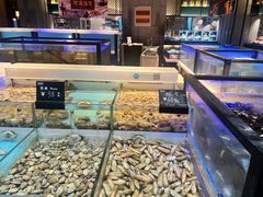 -同庆楼(滨湖万达广场店)