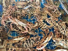 -阿浪海鲜连锁加工店(B栋2排1号火车头店)
