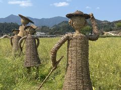 -福建土楼（华安）旅游区•大地土楼群