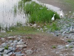 -北京天湖会议中心