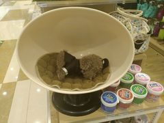 -伊藤洋华堂(温江店)