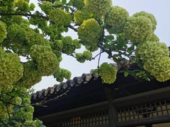 -常熟方塔园