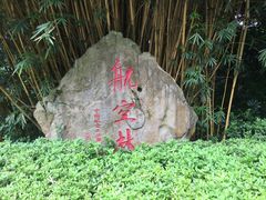 -邓小平故里