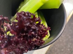 -新辣道鱼火锅(西直门店)