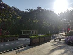 -广州白江湖森林公园