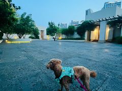 -北京观赏动物医院·24小时大型综合·猫专科·异宠专科