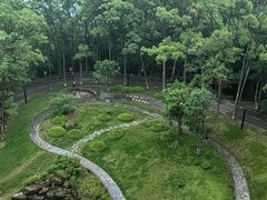 -缙云山景区