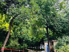 -元大都城垣遗址公园