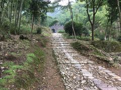 -仙霞关景区