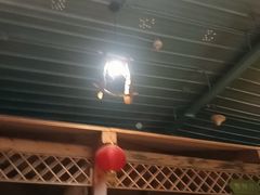 -老阿妈蒙古村·蒙古包·草原文化·歌舞表演(老君堂店)