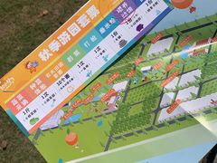 -前小桔亲子创意农场·草莓采摘·露营烧烤