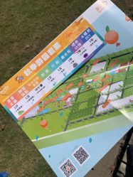-前小桔亲子创意农场·草莓采摘·露营烧烤