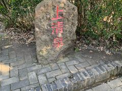 -上海佘山国家森林公园天马山园