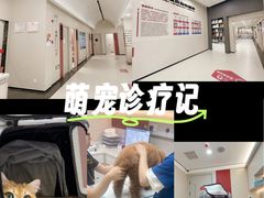-御宝贝24h宠物医院·转诊中心·CT核磁血透中心(厦门总院)